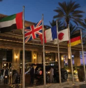 Country Flags