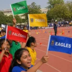 Hand Flags - Image 2