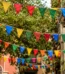 Pennant Flags