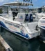 Boat Branding