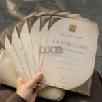 Certificates - Image 2